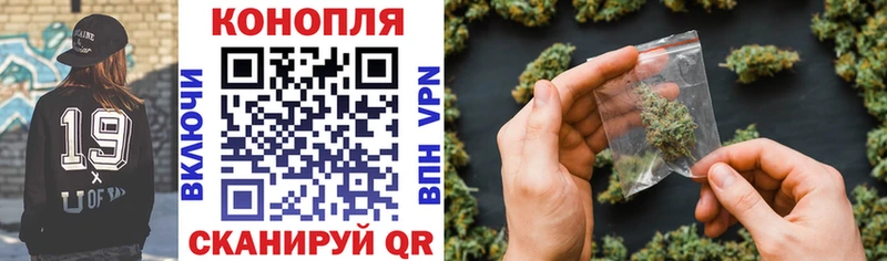 Какие есть наркотики Покров Альфа ПВП  kraken сайт  ГАШ  Галлюциногенные грибы  Канабис  Меф 