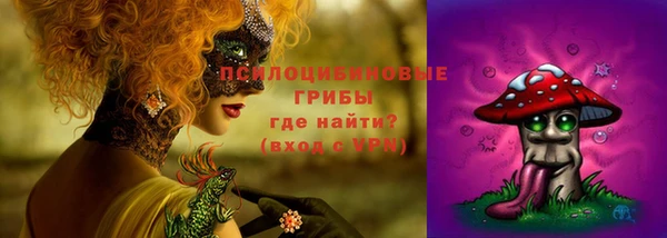 сатива Алексин