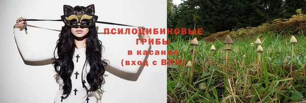 сатива Алексин